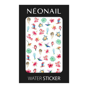 Water Decals NN34